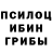 Псилоцибиновые грибы MAGIC MUSHROOMS Arinka Big