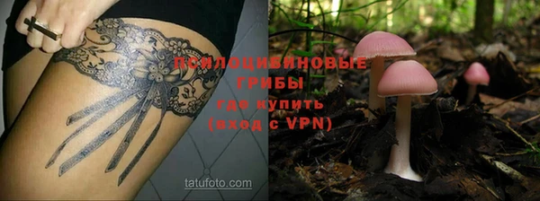 крисы Алексин