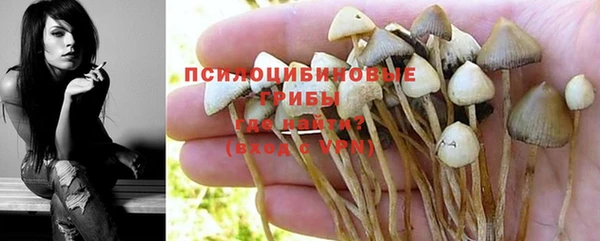 крисы Алексин
