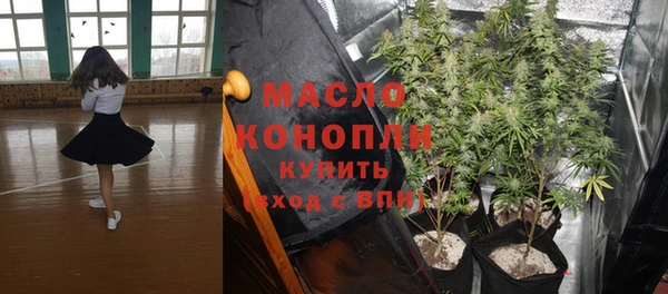 крисы Алексин